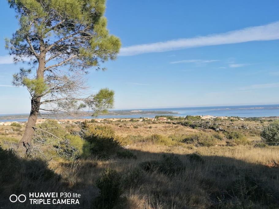 Le Grappillon Villa Fitou Dış mekan fotoğraf